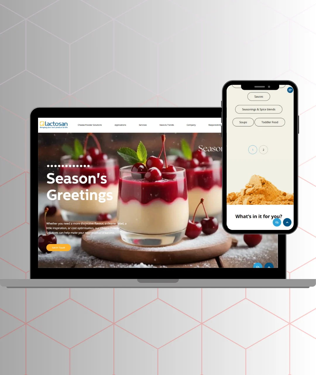 View project Lactosan